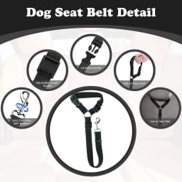 Solid Color Two-in-one Pet Car Seat Belt Nylon Lead Leash Backseat Safety Belt Adjustable Dogs Harness Collar Pet Accessories
