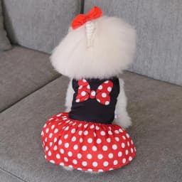 CuteBone Dog Mesh Dress Puppy Sundress Pet Outfit Summer Fashion for Small Dogs Girl Dog Dress Fashion Pet Clothes