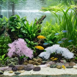 Realistic Aquarium Cherry Blossom Underwater Scene Simulation Cherry Blossom Tree Natural Look Plastic Landscape Tree