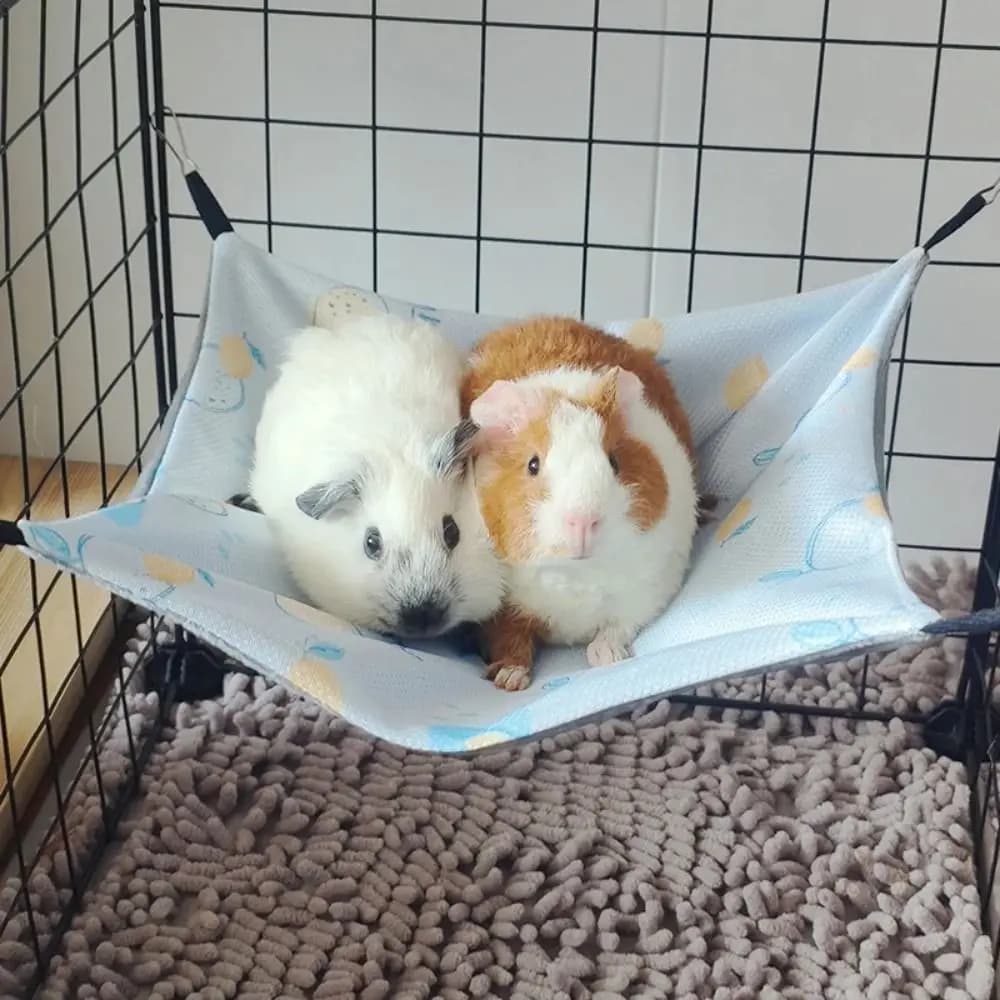 NEW 3 Size Creative Double-sided Guinea Pig Hammock Ice Silk Skin-Friendly Hamster Hammock 4 Hooks Hanging Small Pet Supplies