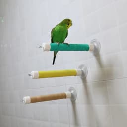 1 Set Suction Cup Bird Perch for Window Glass Mirror Portable Parrot Standing Bar Budgie Pet Travel Toy Accessory Boredom Relief