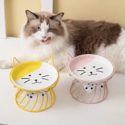 1set (1pc rack + 1pc bowl) Elevated Cat Food Dish, Ceramic, Non-Slip Stand, Raised Feeding Station, Shallow for Whiskers