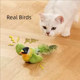Interactive Chirping Bird Cat Toy Hanging Teaser Wand For Kitten Self Entertaining Anti Boredom Bite Resistant Pet Play Toy