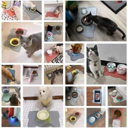 Pet Feeding Mat For Dogs & Cats, Thin Silicone Waterproof Cat Food Mat Cat Bowl Mat With Raised Edge, Cat Placemat