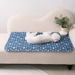 Dog Pee Pad Reusable Washable Dog Urine Mat Car Seat Floor Sofa Waterproof Absorbent Puppy Cat Training Diaper Mat Pet Supplies