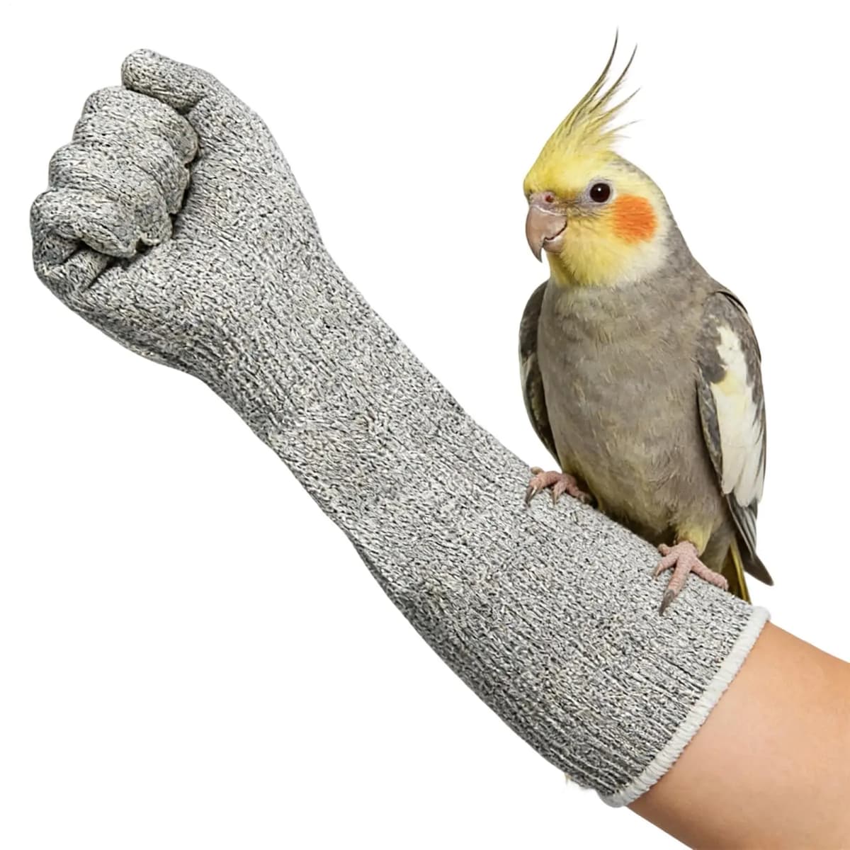 Cat Bite Proof Gloves Scratch & Puncture Resistant Heavy Duty Leather Pet Handling Gloves for Grooming Vet Falconry Bird Parrot