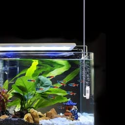 Mini Fish Tank Ecological Bottle Aquarium Filter Oxygen Pump, Built-In Silent Fish Waste Suction Device with High-Density Biochemical Sponge