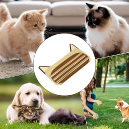Cat Food Pouch Squeezer Reusable Kitten Treats Extruder Cat Bar Treats Scraper for Kitten Yard Park Walking Home Indoor Outdoor