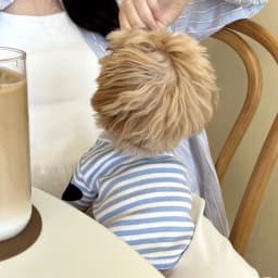 2026 Black Striped Pattern Love Dog Clothes Summer Teddy Vest Bichon Casual T-shirt Fashionable Puppy Base Shirt