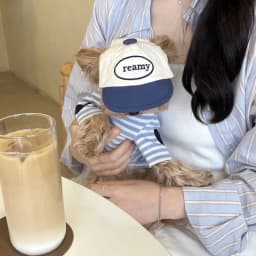 2026 Black Striped Pattern Love Dog Clothes Summer Teddy Vest Bichon Casual T-shirt Fashionable Puppy Base Shirt