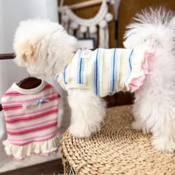 Thin Cooling Dog Dress Striped Dog Clothes Summer Puppy Skirts Girls Dog Costume Chihuahua Clothing Bichon Dog Supplies 2026 New