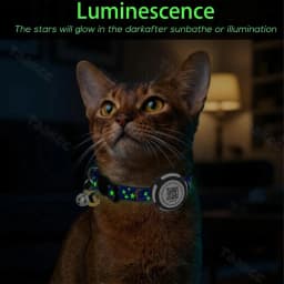 Glow AirTag Cat Collar with Airtag Holder & Pet Name QR Code for Apple Tracker Dual Protection Pet Collar for Kitten Puppy