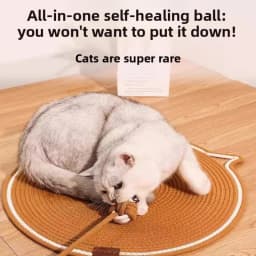 Cat Scratching Mat, Durable Cotton Rope Cat Scratcher with Self-Play Ball, 2-in-1 Sleeping & Claw Care Pad, Summer Use