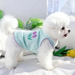 Summer Pet Suspender Vest Floral Embroidery Thin Shirt for Small Medium Dogs Chihuahua Puppy Cat Outfit Dog Clothes
