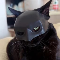 Funny Prank Black Bat/White Style Pet Cat Photo Mask Party Pet Supplies