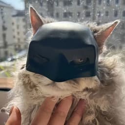 Funny Prank Black Bat/White Style Pet Cat Photo Mask Party Pet Supplies