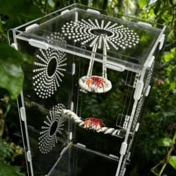 Hangable Jumping Spider Bridge Hermit Crab Climbing Enclosure Bridge Swings Spider/Gecko Jumping Stand Climbing Ladder Habitat