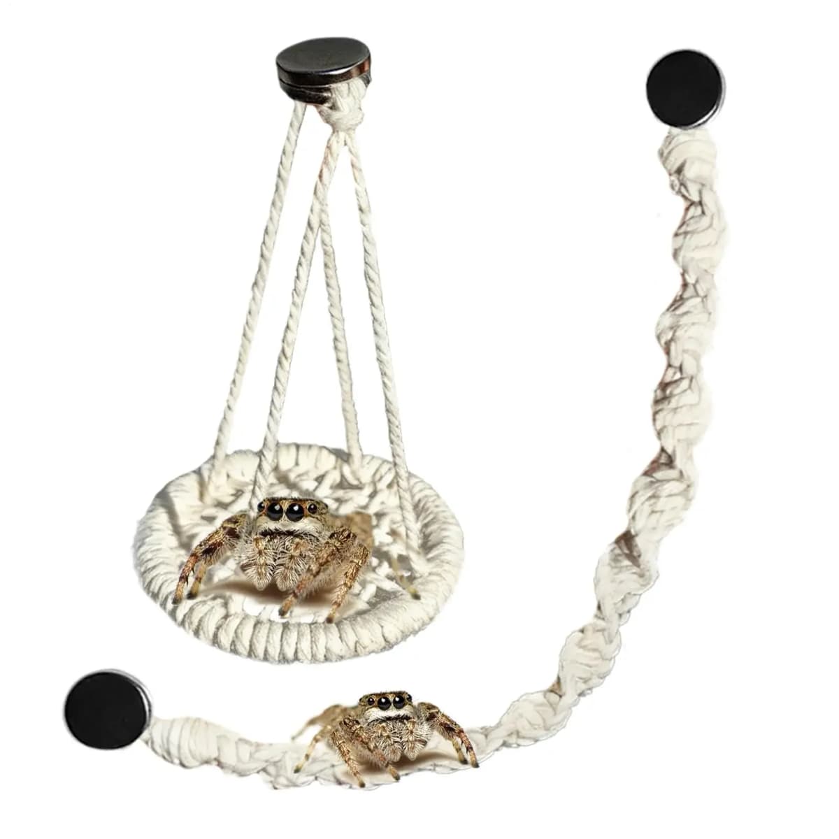 Hangable Jumping Spider Bridge Hermit Crab Climbing Enclosure Bridge Swings Spider/Gecko Jumping Stand Climbing Ladder Habitat
