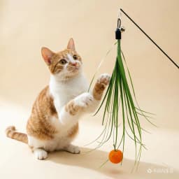 PVC Simulation Grass Replacement Head Funny Cat Stick Tassel Cat Toys Interactive