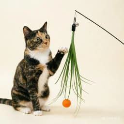 PVC Simulation Grass Replacement Head Funny Cat Stick Tassel Cat Toys Interactive