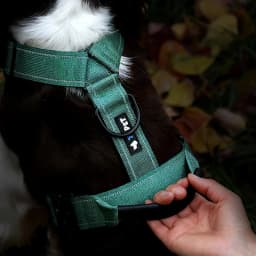 Y-Shaped Dog Harness with Soft Padding, Metal Buckles and Leather Handle Adjustable No Pull Pet Harness for Dogs