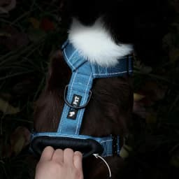 Y-Shaped Dog Harness with Soft Padding, Metal Buckles and Leather Handle Adjustable No Pull Pet Harness for Dogs