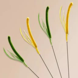 Kimpets Cat Dog Tail Grass Dog Sage Feather Long Pole Cat Teasing Stick Bite Resistant Self Soothing Tool Cat Toy Pet Supplies
