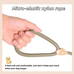 Heavy Duty Dog Leash Slip Rope Lead Adjustable Braided Loop Collar Training Leash for Small to Medium Dogs