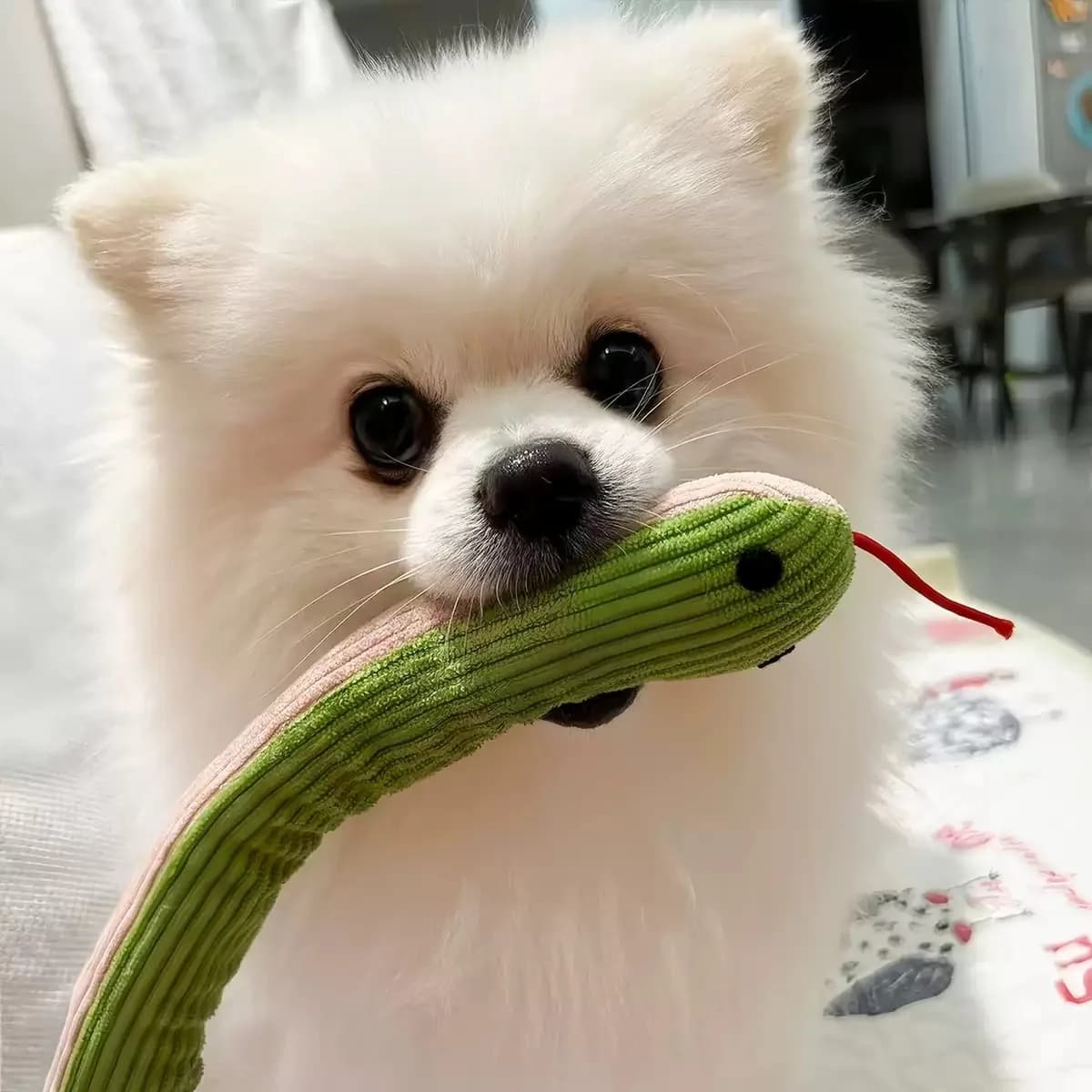 Dog Toy Snake Interactive Crinkle Sound Toy Kitten Kick Toy for Indoor Cats 16.5 Inches Pet Supplies