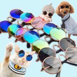Non-Slip Cat & Small Dog Sunglasses Pet Accessories Puppy Kitty Cosplay Costume Cute Animal Eyewear Photo Props