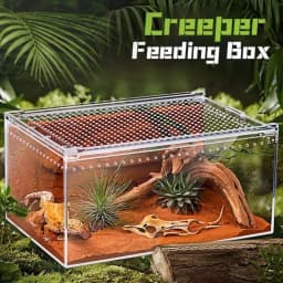 New Transparent Reptiles Terrarium Ventilated Acrylic Reptile Kennel Easy to Install Anti-escape Lizard Breeding Box for Snake