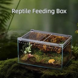 New Transparent Reptiles Terrarium Ventilated Acrylic Reptile Kennel Easy to Install Anti-escape Lizard Breeding Box for Snake