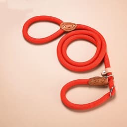 New Heavy Duty Dog Leash Slip Rope Lead Adjustable Braided Loop Collar Training Leash for Small to Medium Dogs