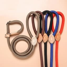 New Heavy Duty Dog Leash Slip Rope Lead Adjustable Braided Loop Collar Training Leash for Small to Medium Dogs