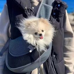 1Pc Dog Outdoor Backpack Breathable Mesh Crossbody Bag Puppy Cat Travel Hiking Camping Outdoor Pet Carrier