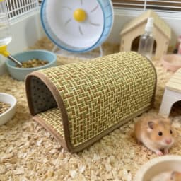 Scratch Resistant Hamster Cool Nest Breathable Weave Cooling Mat Guinea Pig Tunnel Wear Resistant Hiding House Summer Cooling