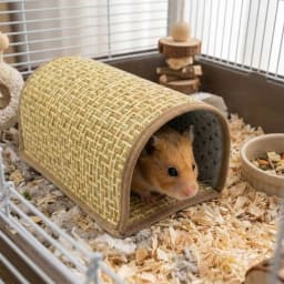 Scratch Resistant Hamster Cool Nest Breathable Weave Cooling Mat Guinea Pig Tunnel Wear Resistant Hiding House Summer Cooling