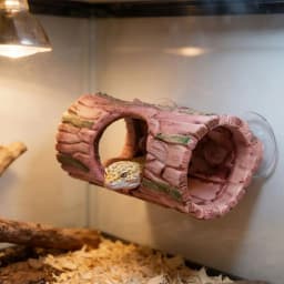 Resin Ornament Reptile Hideout Cave Tree Hollow Climbing Space Hollow Tree Trunk Decor Strong Suction Cup Comfortable