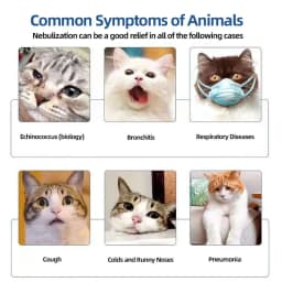 Portable Mesh Nebulizer for Human Cat Dog USB Rechargeable Handheld Cool Mist Inhaler Silent Vet Respiratory Breathing Device