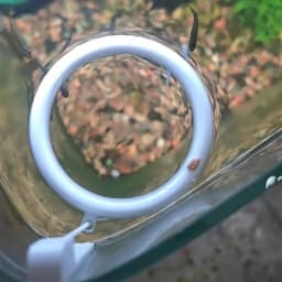 1 Set 3D Printed Floating Aquarium Circular Feeder Ring Water-level Adaptive Anti-scatter Feeding Fish Tank Accessories