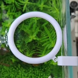 1 Set 3D Printed Floating Aquarium Circular Feeder Ring Water-level Adaptive Anti-scatter Feeding Fish Tank Accessories