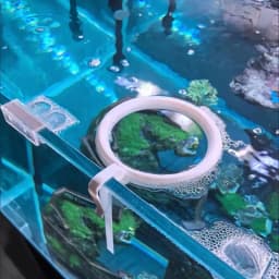 1 Set 3D Printed Floating Aquarium Circular Feeder Ring Water-level Adaptive Anti-scatter Feeding Fish Tank Accessories