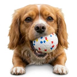 6PCS 5cm ETPU Dog Balls, Indestructible Non-Toxic Chew Toy, Floating Teeth Cleaning Interactive Toy for Small Dogs Puppy