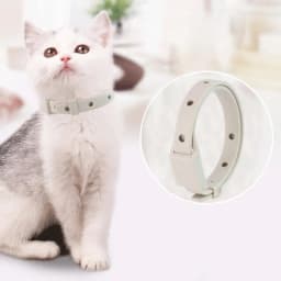 Adjustable Pet Deworming Collar Flea And Tick Prevention Collar Comfortable For Cats And Dogs Pet Supplies