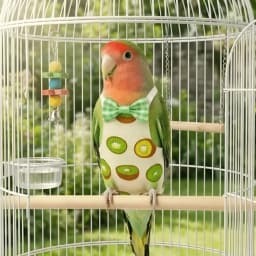 Parrot Cotton Diaper Washable Fruit Style Parrot Adjustable Bowtie Flight Suit Keep Birds Clean Breathable for Pet Bird Clothes