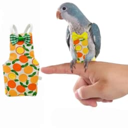 Parrot Cotton Diaper Washable Fruit Style Parrot Adjustable Bowtie Flight Suit Keep Birds Clean Breathable for Pet Bird Clothes
