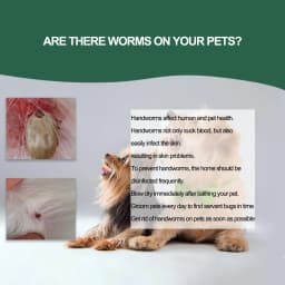 Pet Tick Remover Tool Durable Family Pet Flea Control Waterproof Portable Rustproof Tick Removal Pen For Cat Dog And Humans