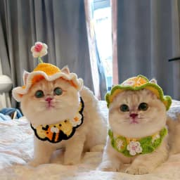 Cute Cat Hat Scarf Set Funny Pet Party Cosplay Headwear Delicate Hemming Pendant Decor Elasticity Knitted Hat Scarf Pet Supplies