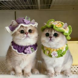 Cute Cat Hat Scarf Set Funny Pet Party Cosplay Headwear Delicate Hemming Pendant Decor Elasticity Knitted Hat Scarf Pet Supplies
