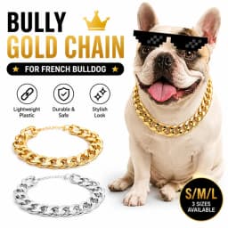 ABS Plastic Dog Collar Chain Diamond Inlay Sparkle Bulldog Necklace Cat Collars Pet Accessories Small Medium Large Dogs Golden